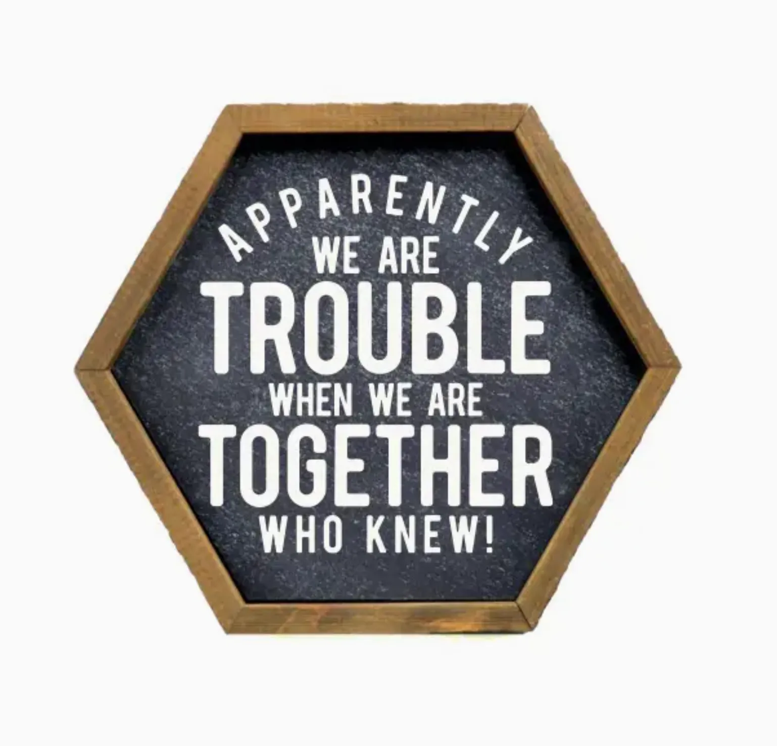 Apparently We Are Trouble- Funny Friend Gift Sign