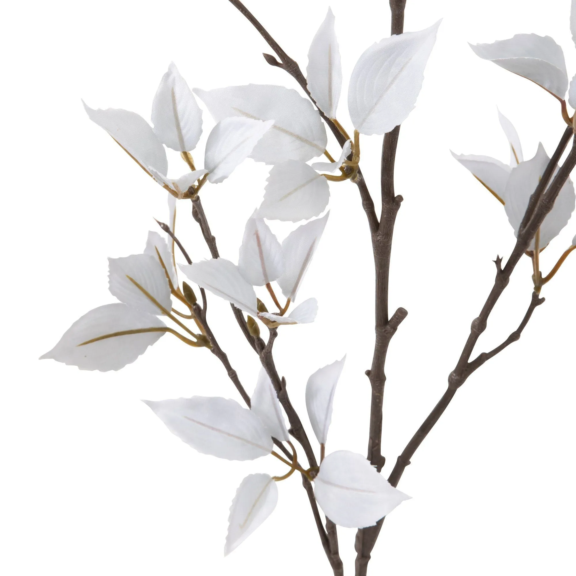 Art Flower Evergreen Light Blue