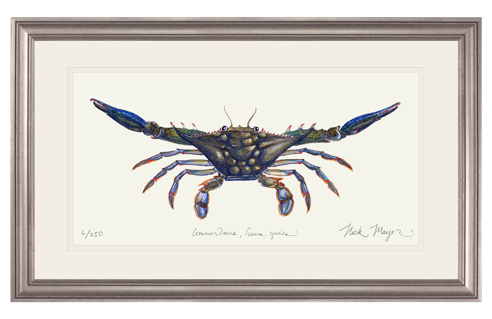 Blue Crab Claws Out Print