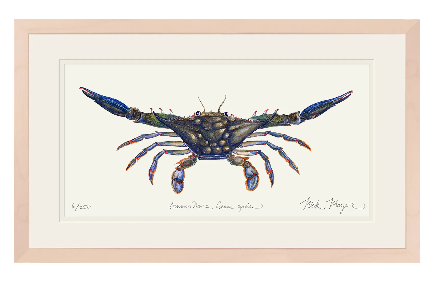 Blue Crab Claws Out Print