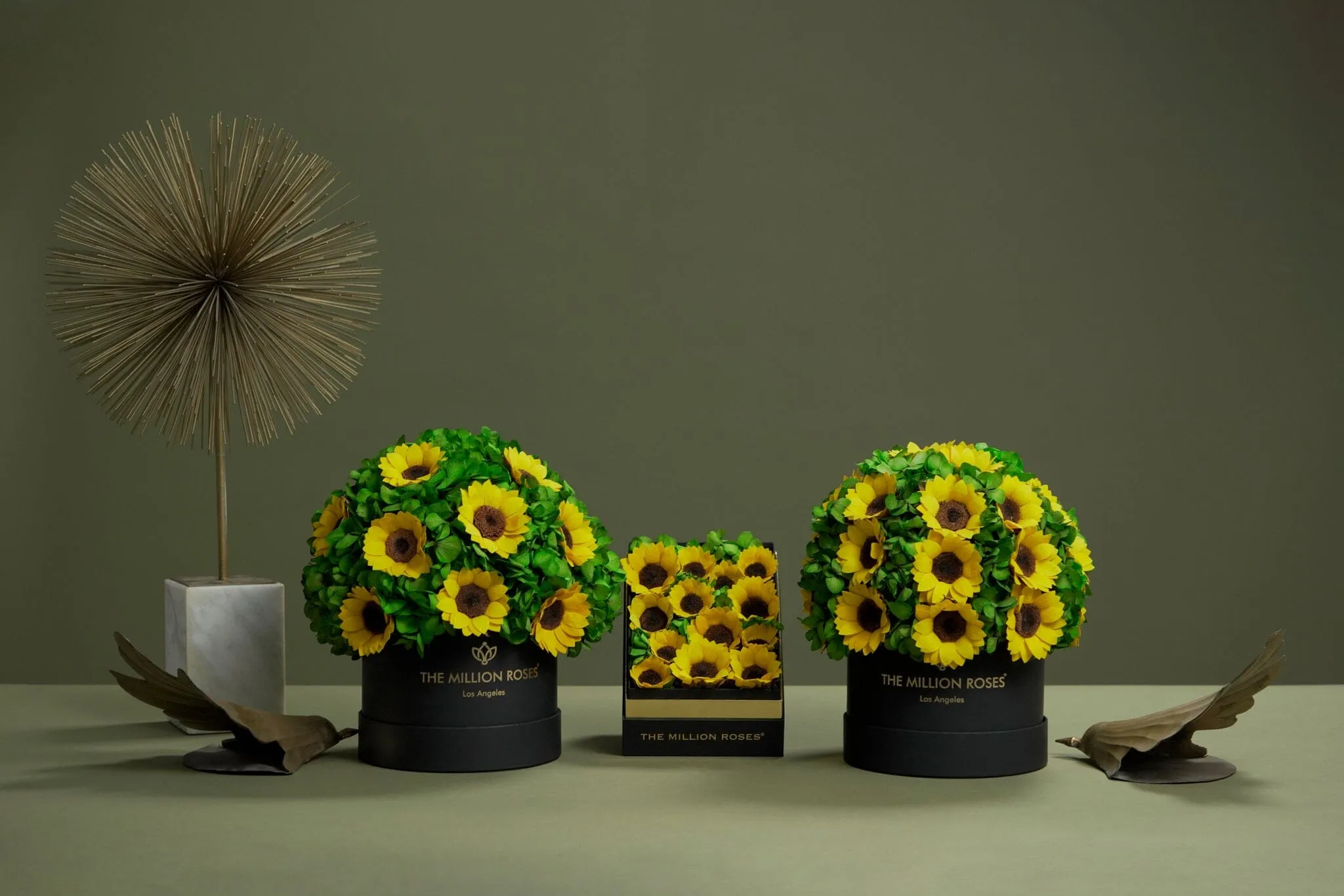 Classic White Box | Sunflowers & Green Hydrangeas