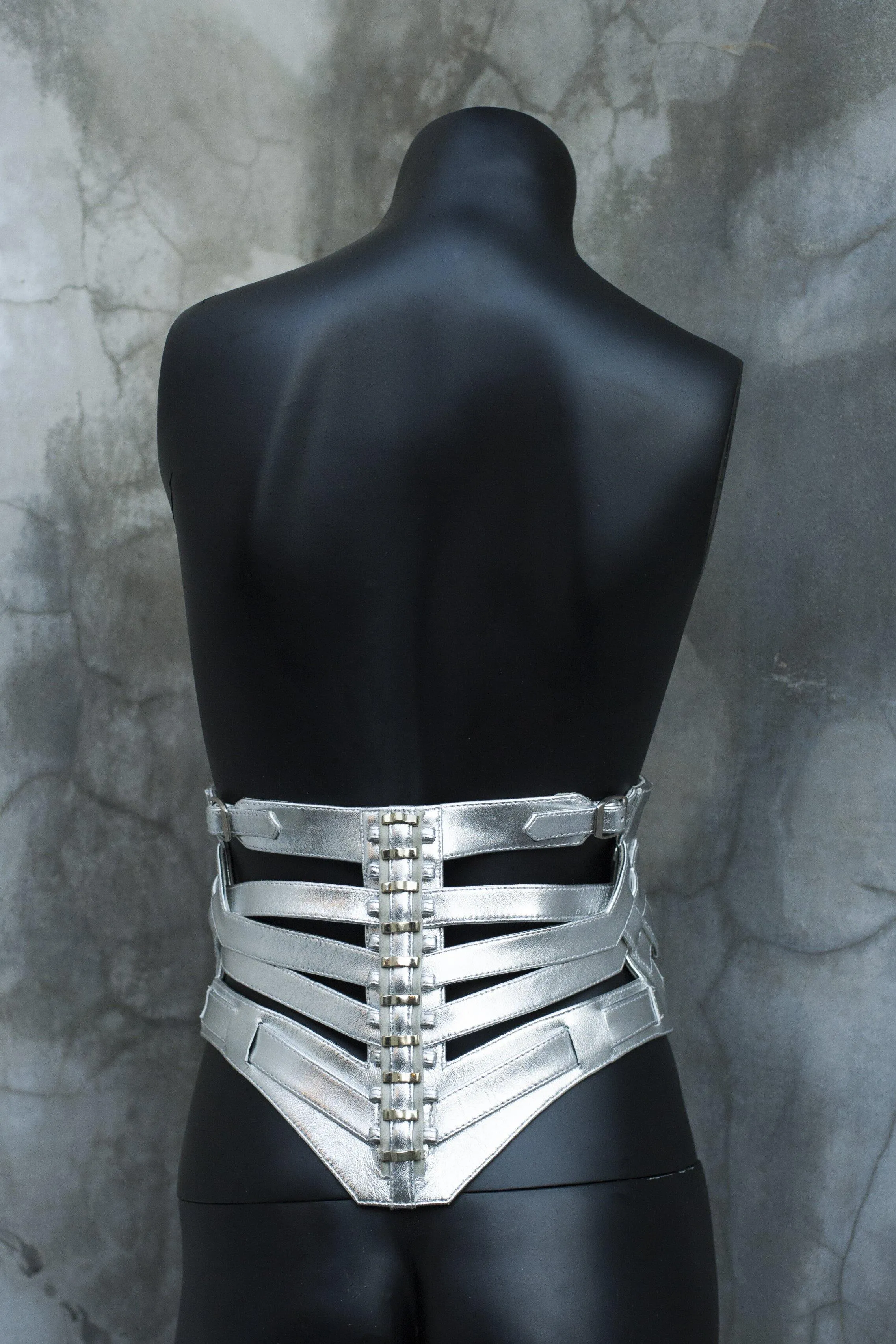 *Exclusive* Silver Quartz Corset