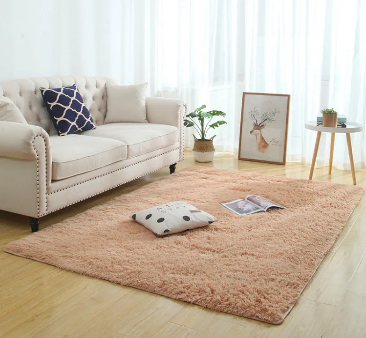 Modern Long Plush Carpet