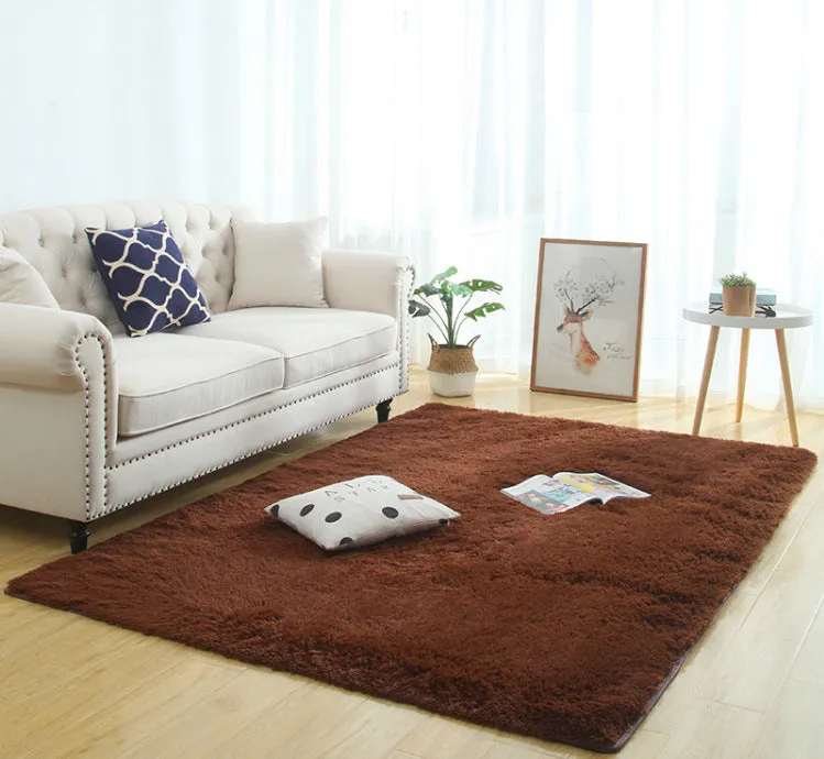 Modern Long Plush Carpet