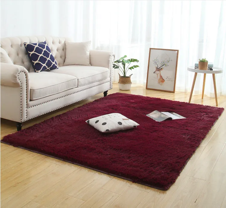 Modern Long Plush Carpet