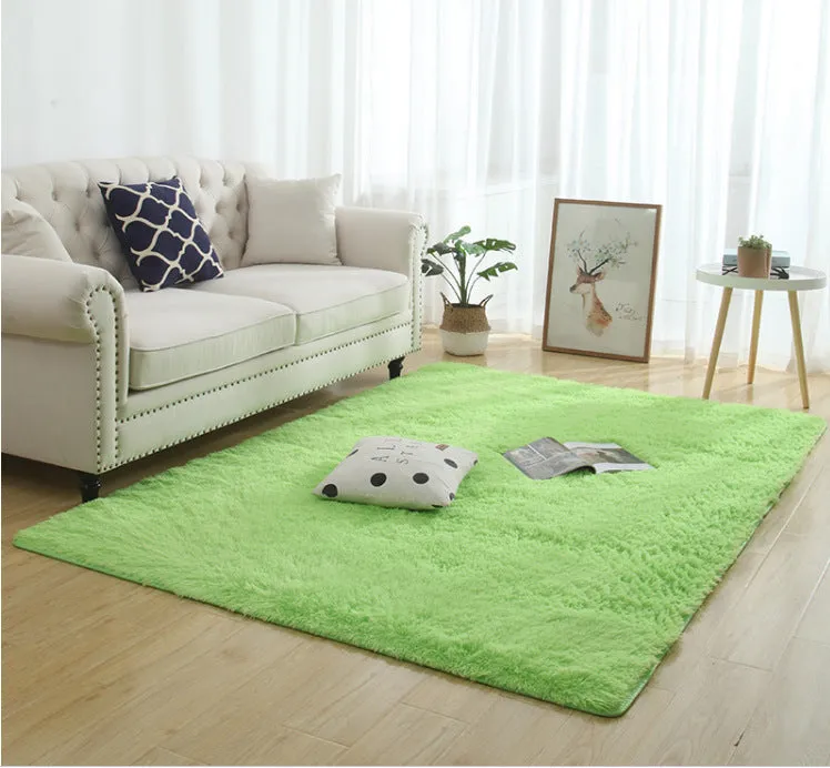 Modern Long Plush Carpet