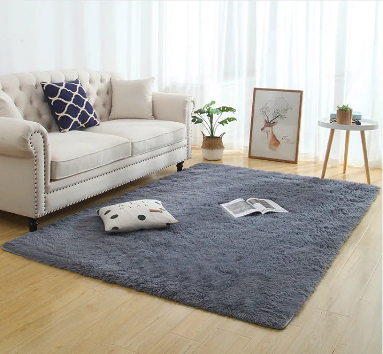 Modern Long Plush Carpet