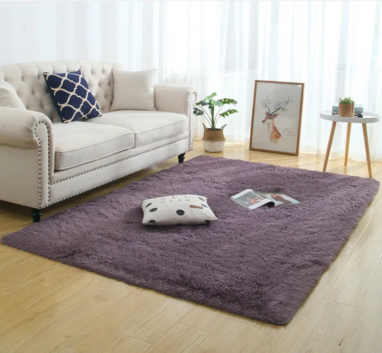 Modern Long Plush Carpet