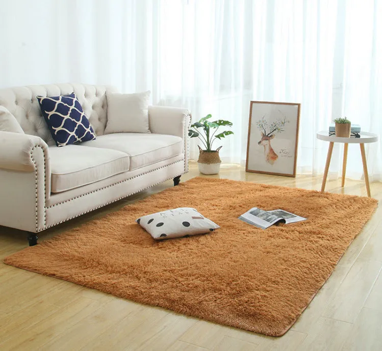 Modern Long Plush Carpet