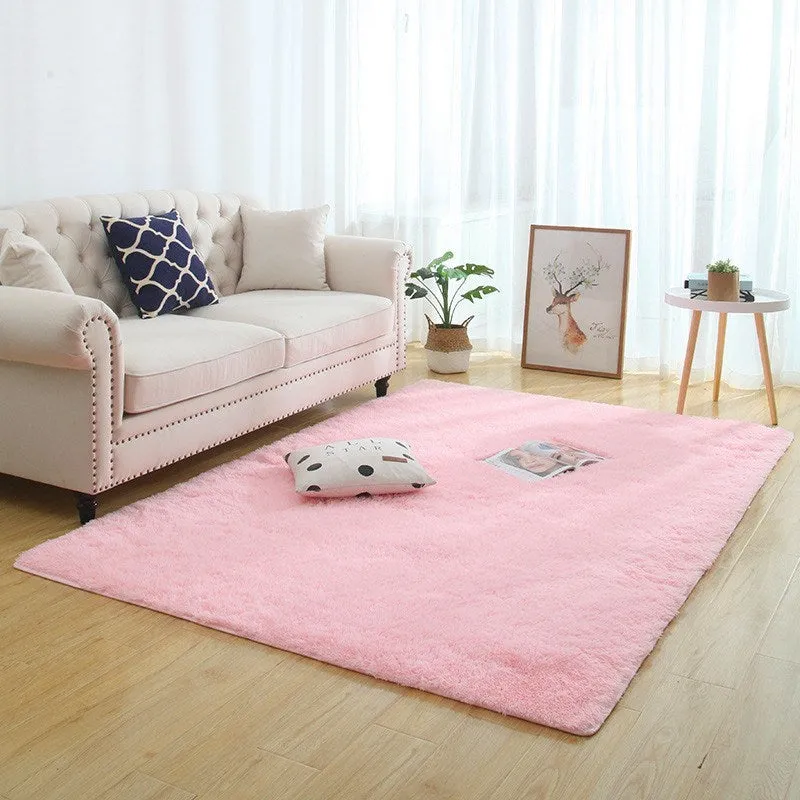 Modern Long Plush Carpet