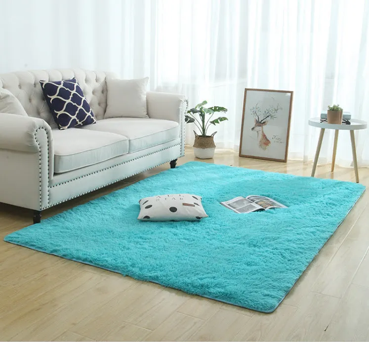 Modern Long Plush Carpet