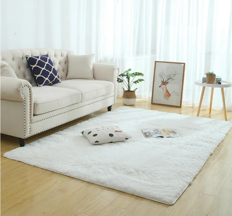 Modern Long Plush Carpet