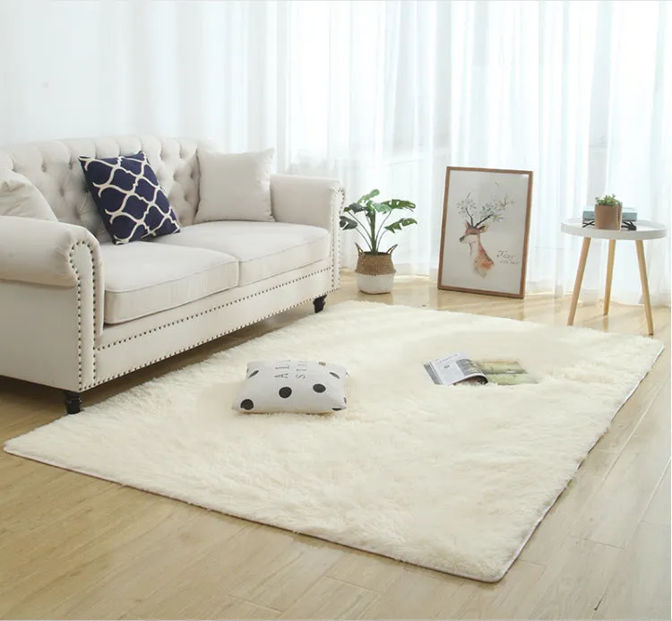Modern Long Plush Carpet