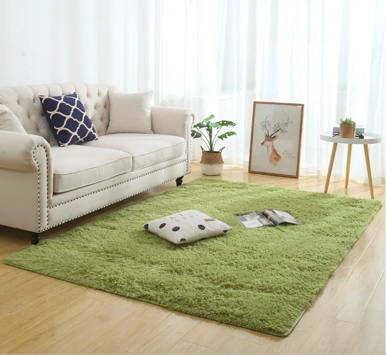 Modern Long Plush Carpet