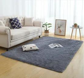 Modern Long Plush Carpet