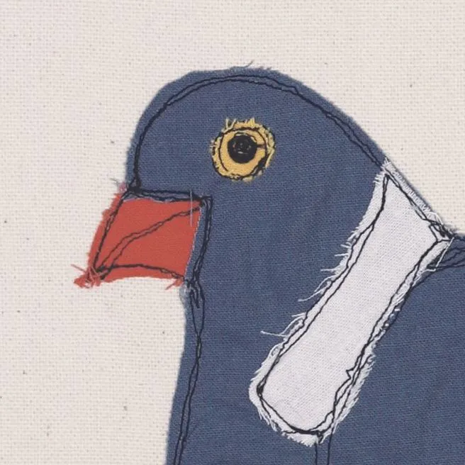 Pigeon
