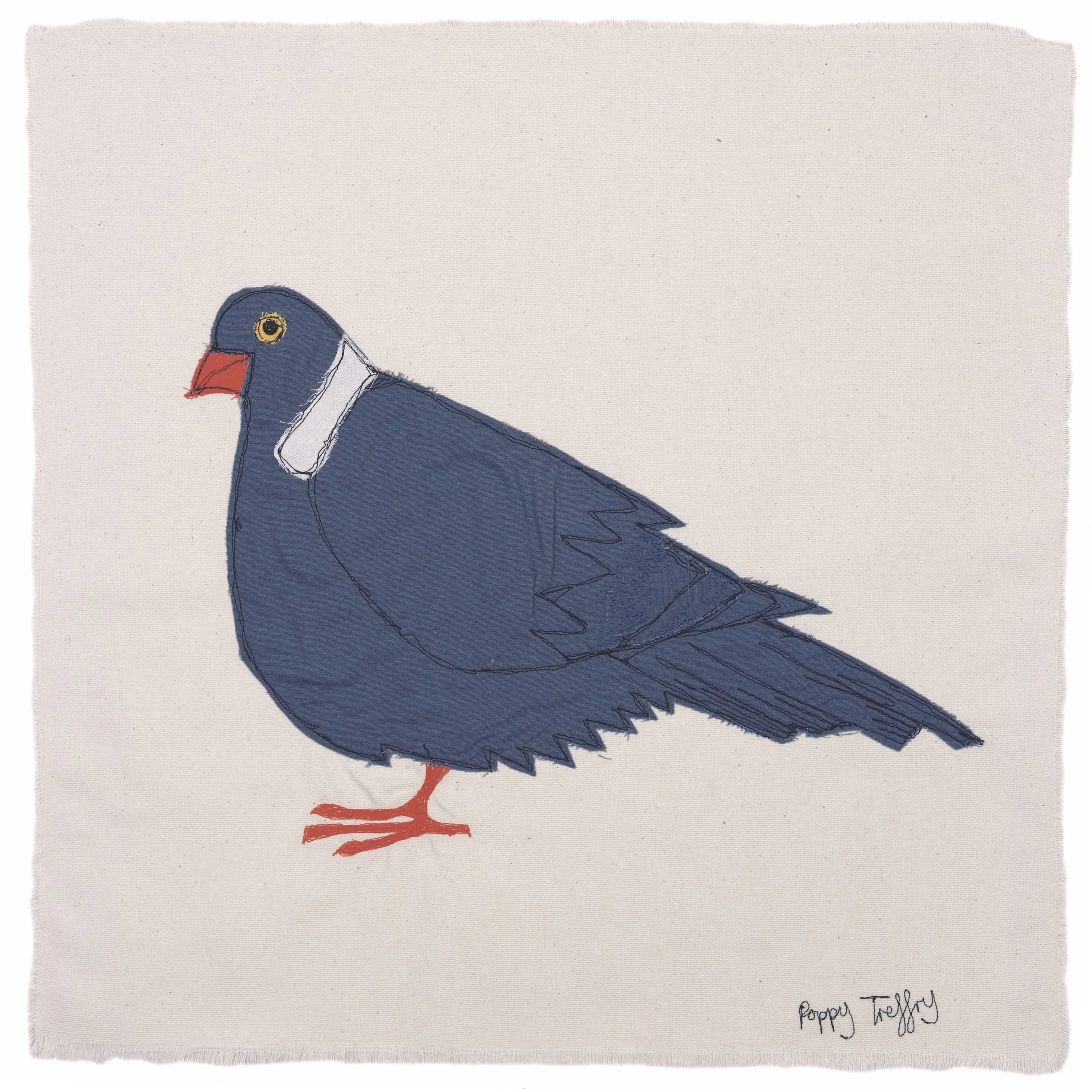 Pigeon