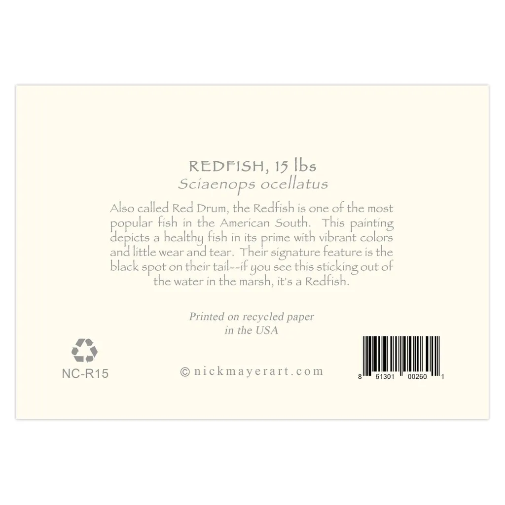 Redfish, 15 lbs Notecards