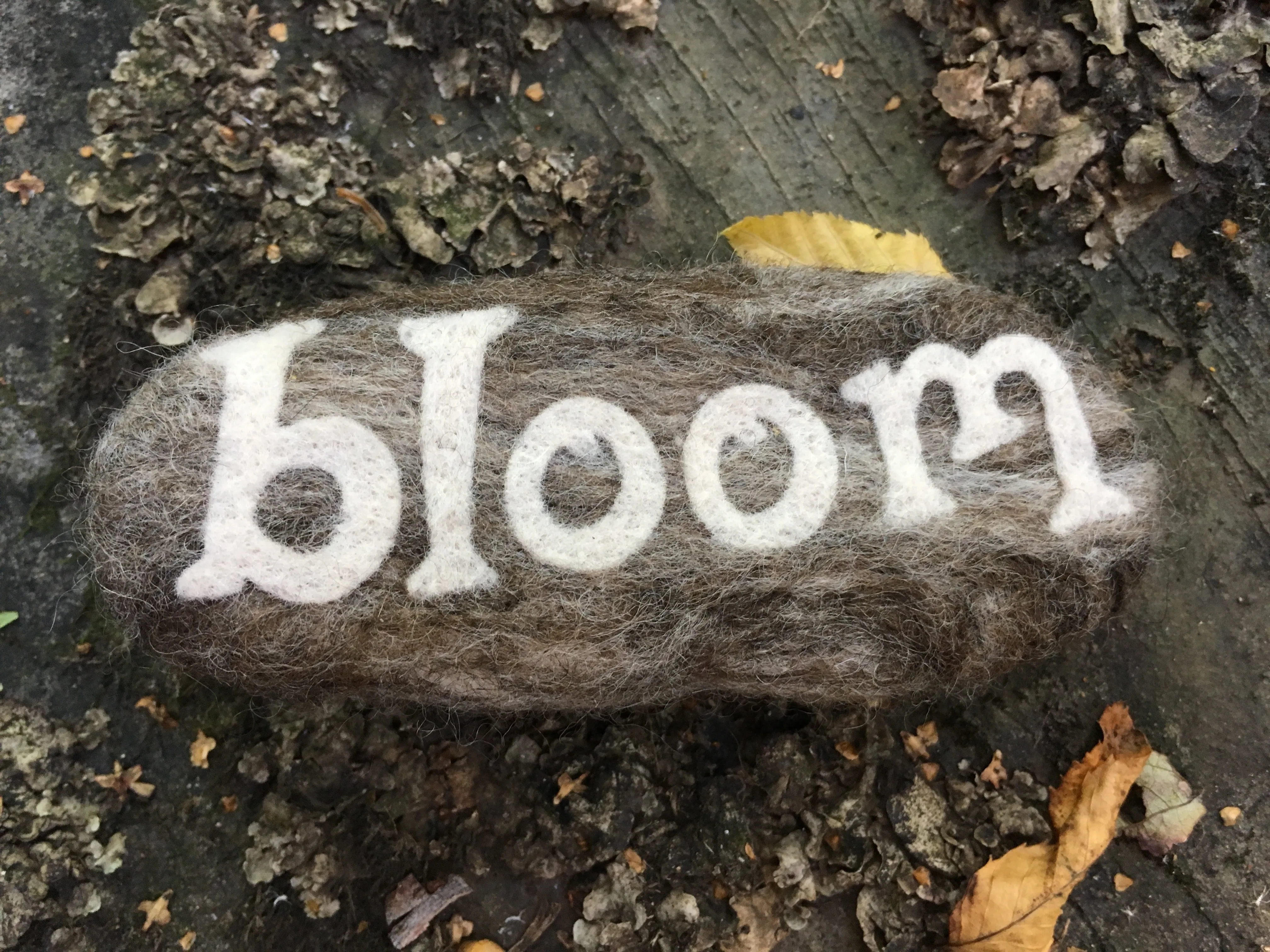 Stones--Inspirational Needle Felted