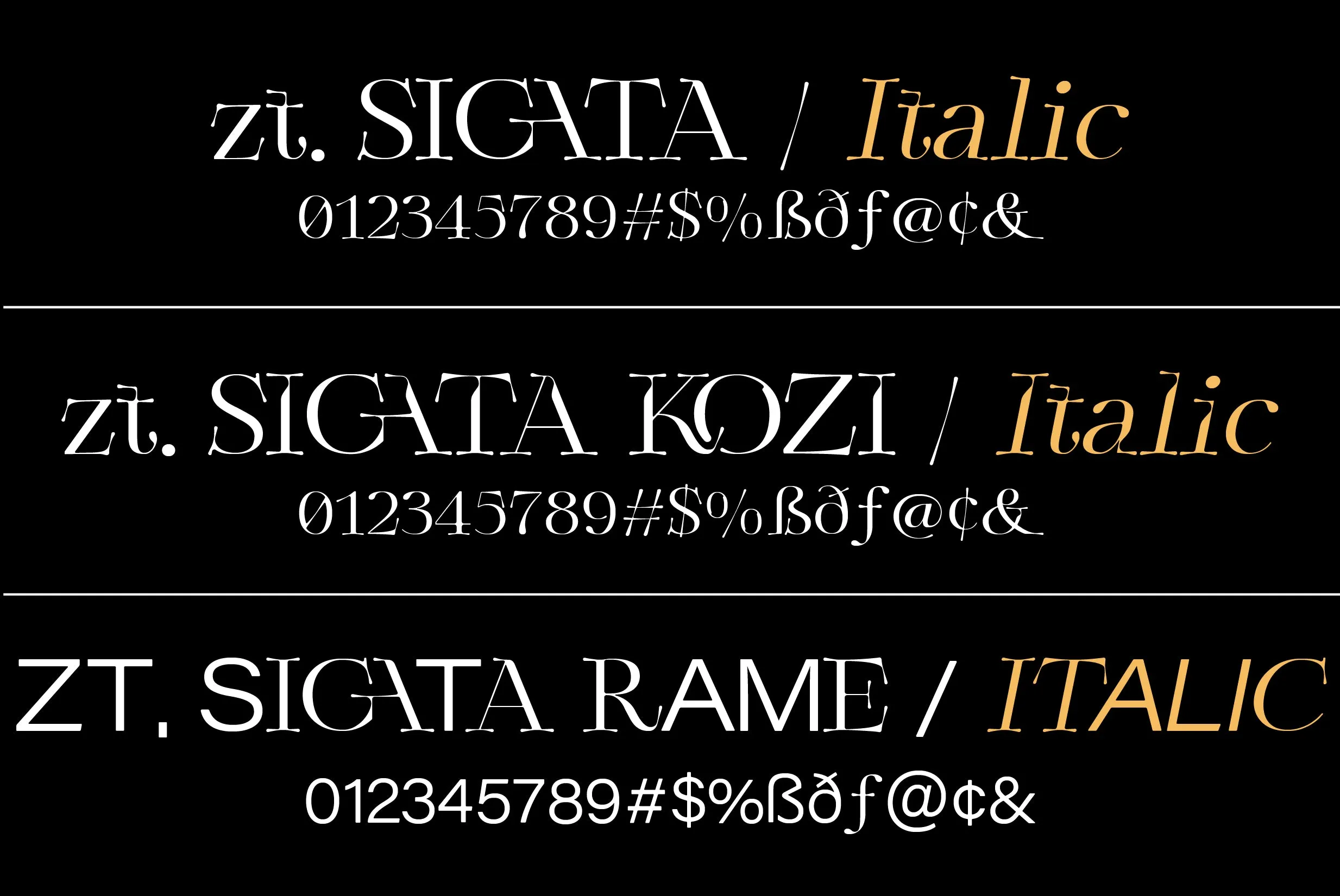 ZT Sigata - Combo Display Typeface